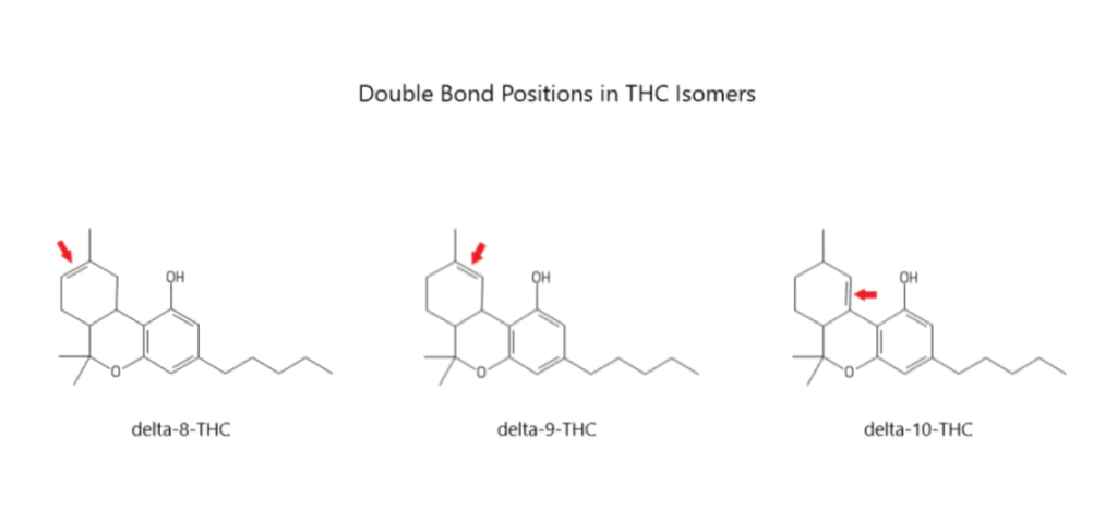 THC isomer bond positioning