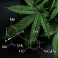 cannabis chemical structure