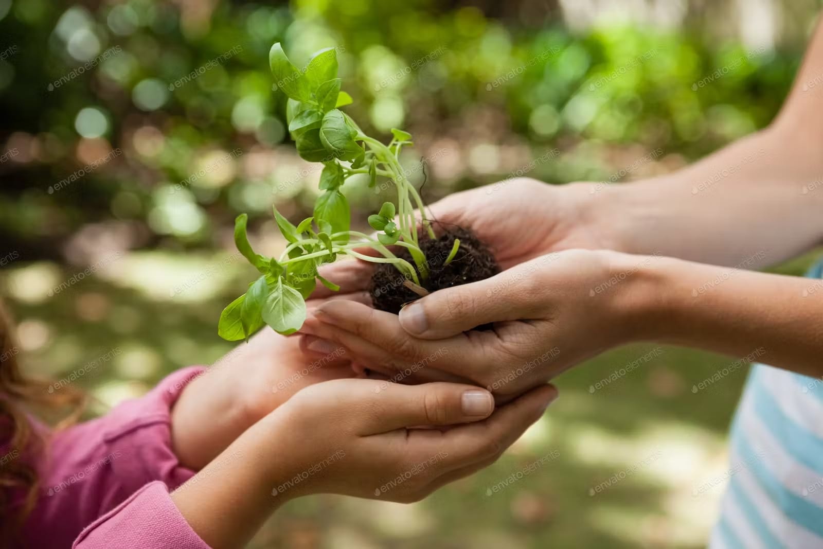 Image of a parent’s hands holding the earth and placing it to their child’s outstretched hands on a green grassy background.