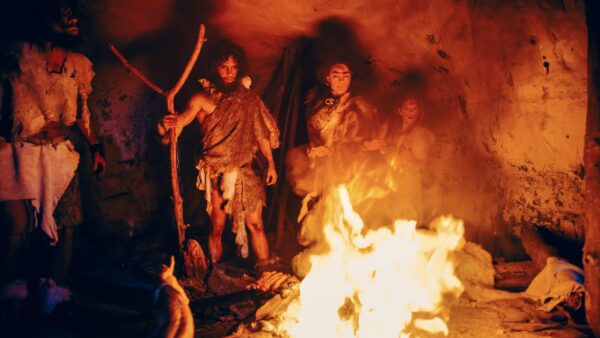 A primitive family gathers near the fire in a cave cooking a meal before another day of survival.